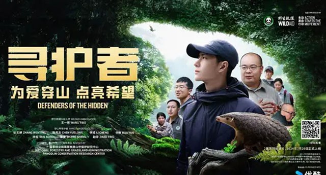 保护穿山甲纪录片《寻护者》今日首映 公益大使王一博呼吁全社会共同参与