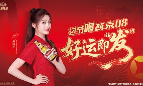 燕京啤酒2026春节战略曝光：“小发”上线，搞一波“大的”！